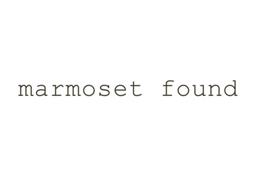 Marmoset Found